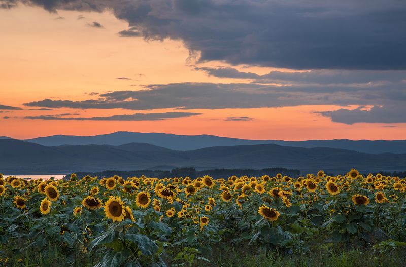 Вечерняя...photo preview