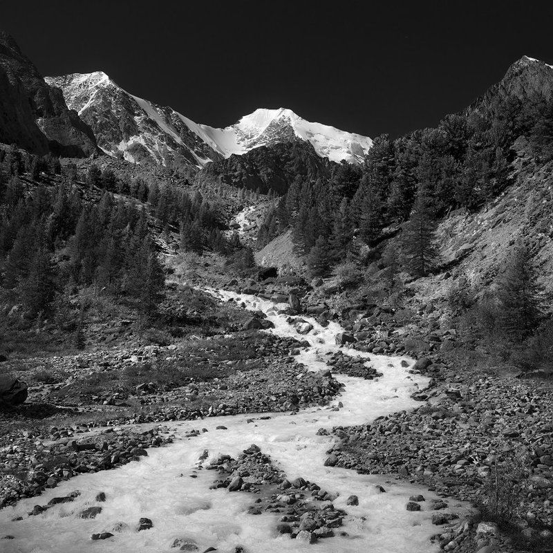 чб, пейзаж, природа, горы, скалы, вершина, ледник, река, бурная, быстрая, холодный, высокий, большой, красивая, Актру, Алтай, Сибирь, Камни, поток Актру фото превью