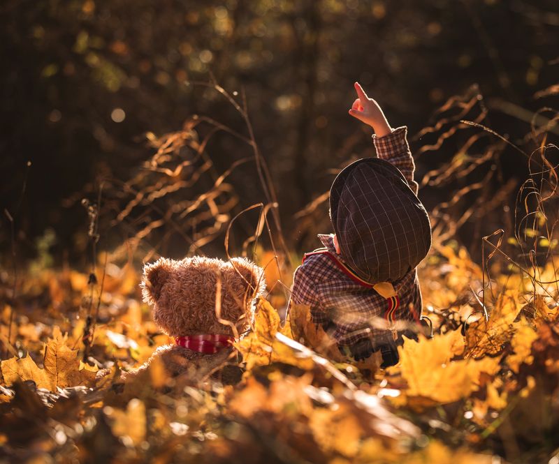 children photography, child,portrait, fotograf olsztyn, Look Teddy there is a squirrelphoto preview