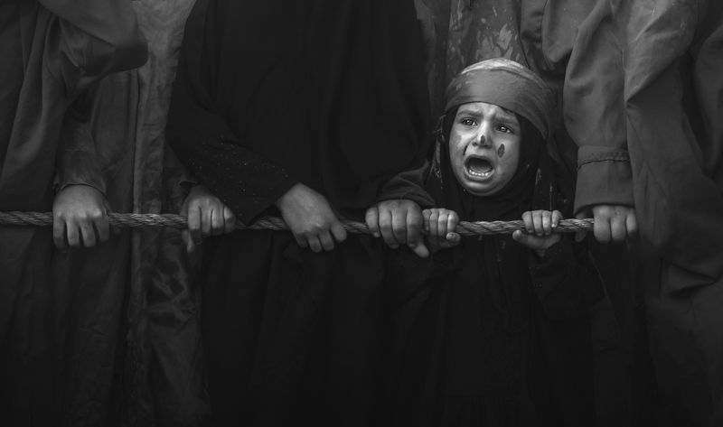 الصرخةphoto preview