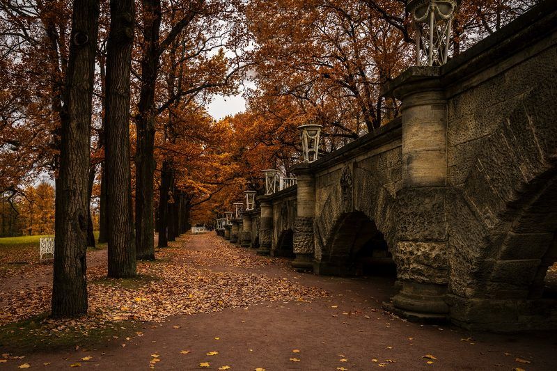 Осенний паркphoto preview