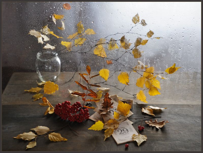 Октябрьphoto preview