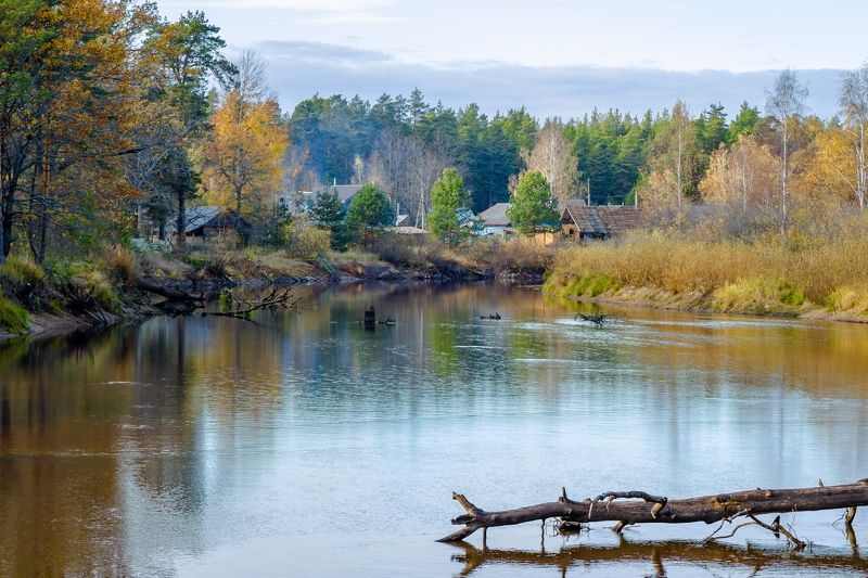 река, поселок, пейзаж, осень На берегуphoto preview