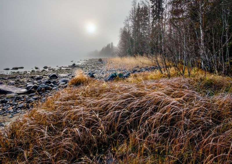 мороз озеро трава осень туман Иней на травеphoto preview