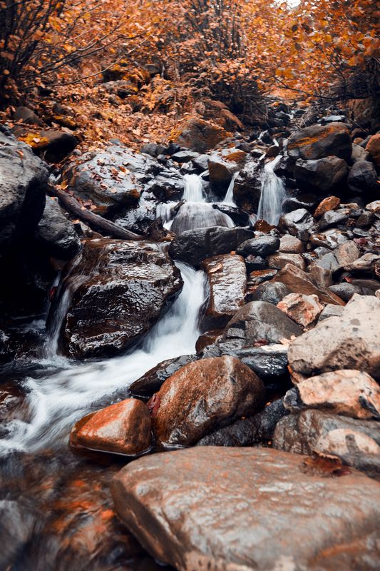 В горахphoto preview