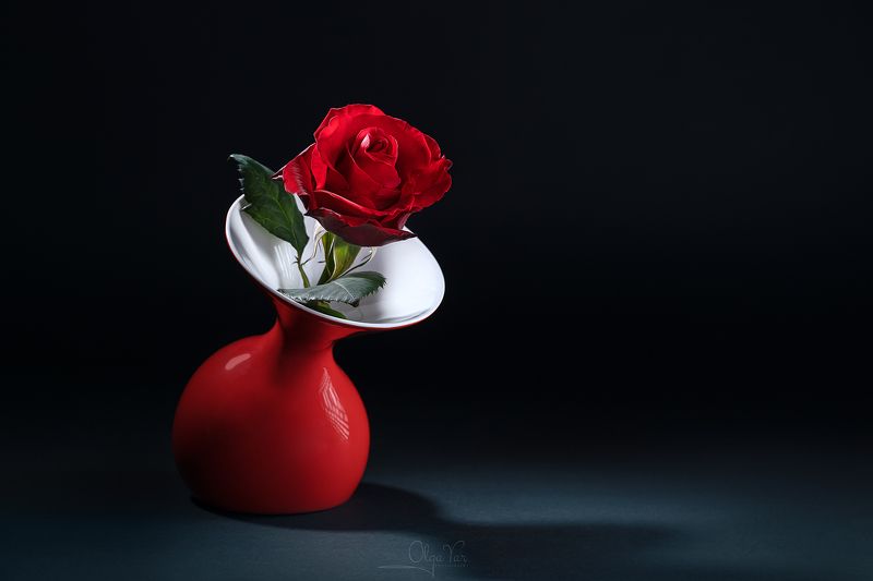 роза, цветок, черный фон, красная роза, ваза, минимализм Королеваphoto preview