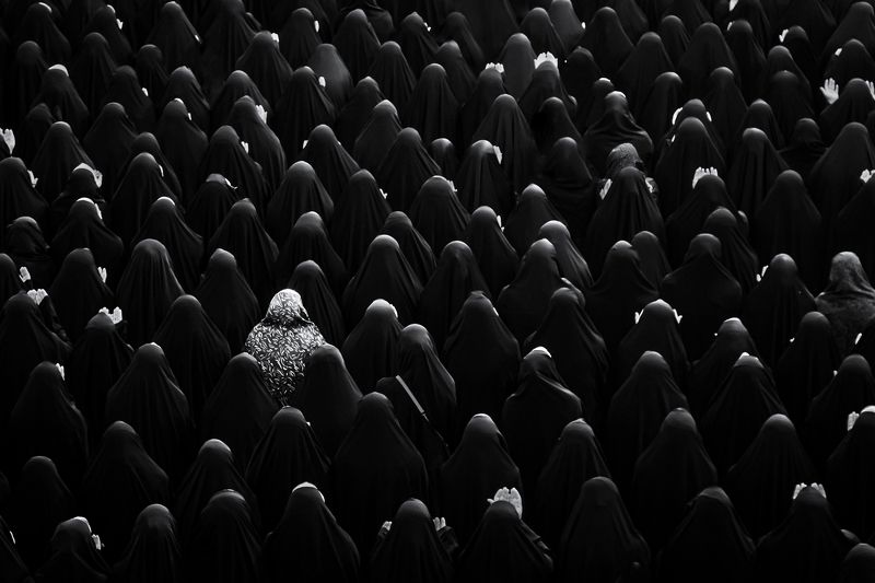 الصلاةphoto preview