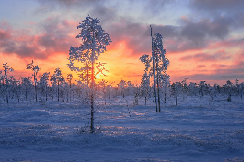 Ноябрьский вечер....photo preview