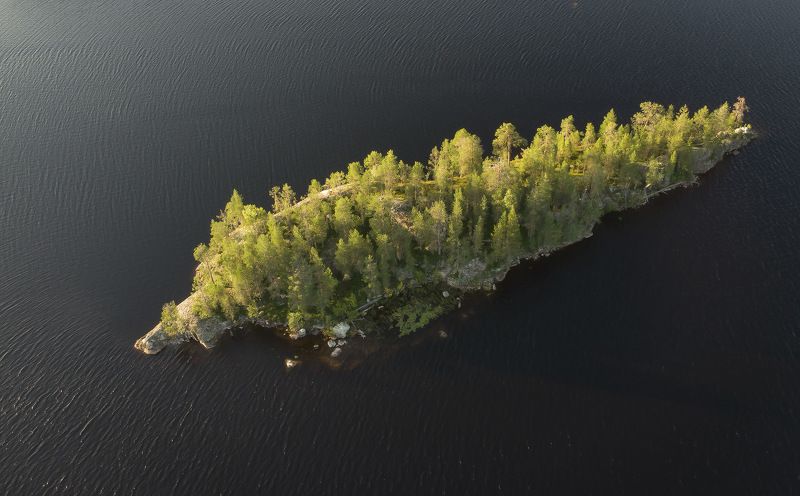 Чудо-Юдо Рыба-Китphoto preview