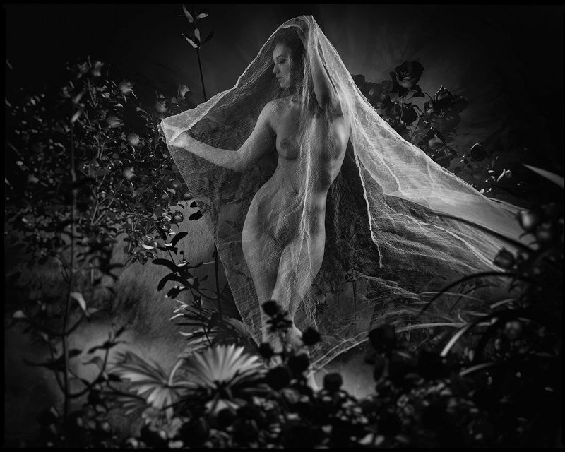 В волшебном садуphoto preview