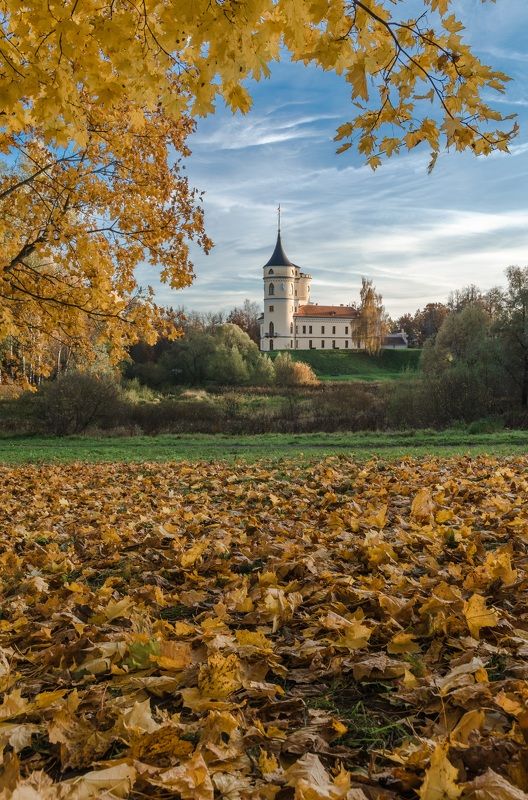 осень, павловск, замок, замок бип, мариенталь, деревья, листья, небо Осень в Павловскеphoto preview