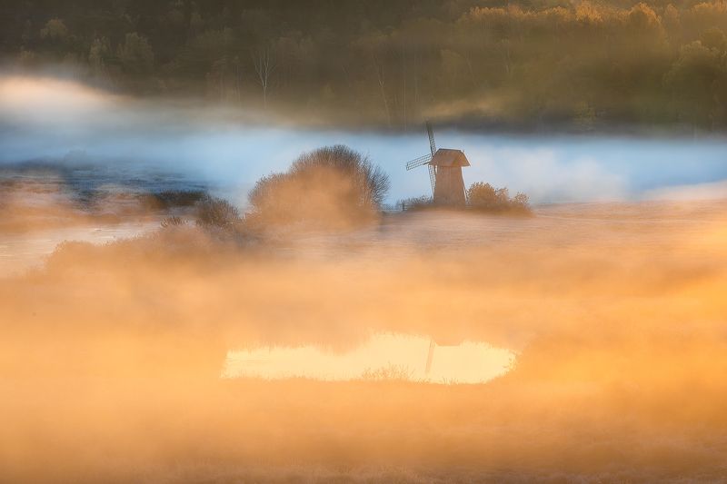 фототур, туризм, псковская область, пушгоры, обучение фотографии, осенний тур, мельница, осень, утро, туман, рассвет, В нежной пелене осеннего тумана.photo preview