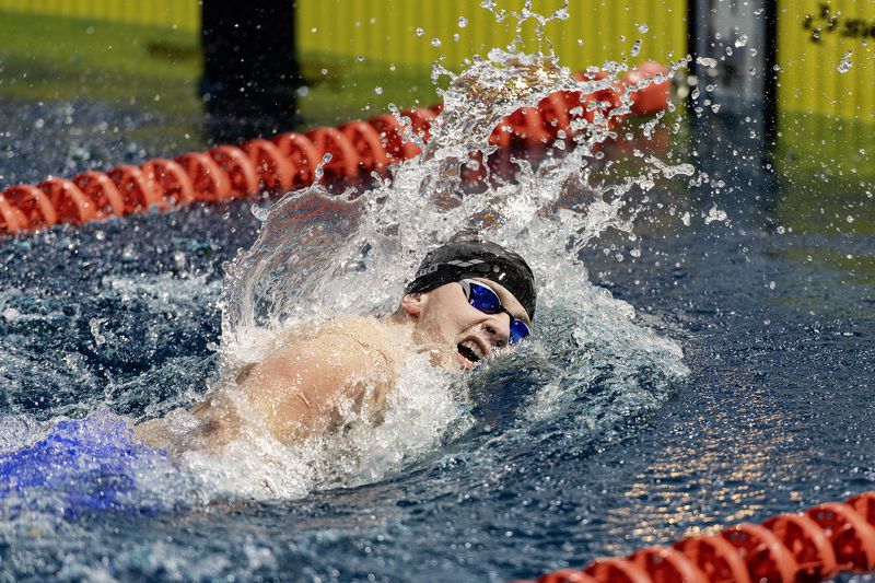 Застывшие в стекле.photo preview