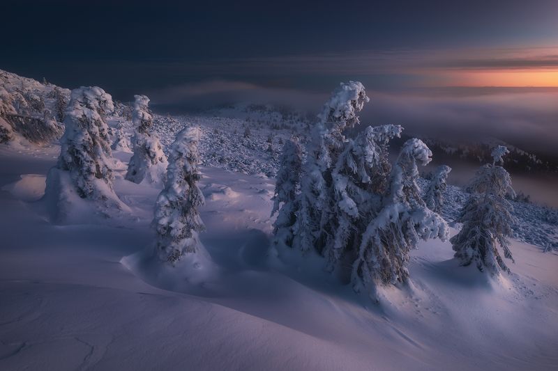 New lightphoto preview