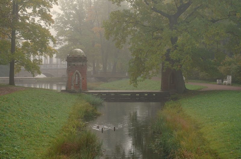 Foggy morningphoto preview