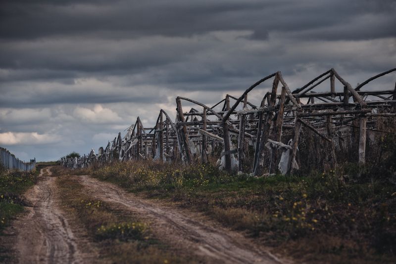 поле, дорога, заброшенность Дорога в страну Озphoto preview