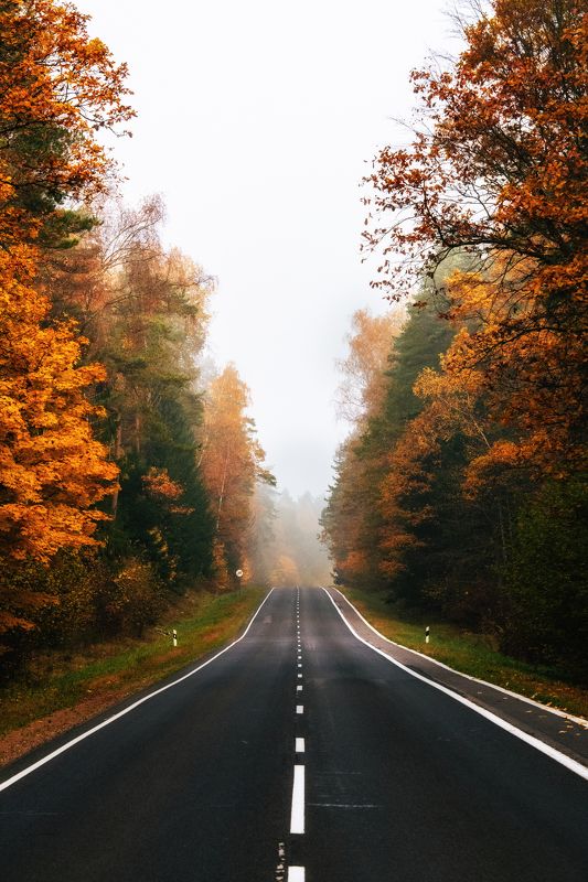 Осеньphoto preview