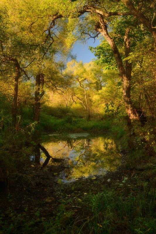 приморье Начало осени.photo preview