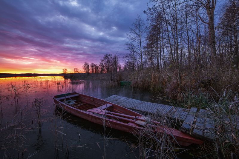 Ноябрьская.... фото превью