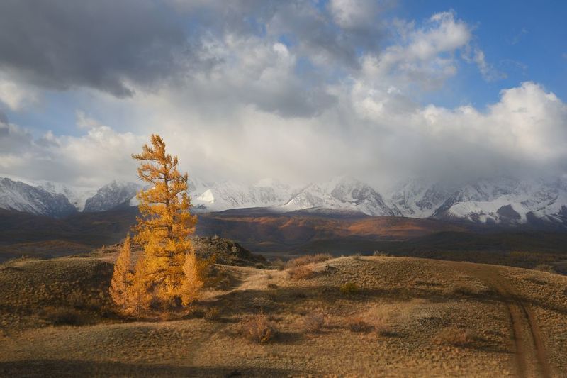 алтай горы курай осень Сюрпризы природыphoto preview