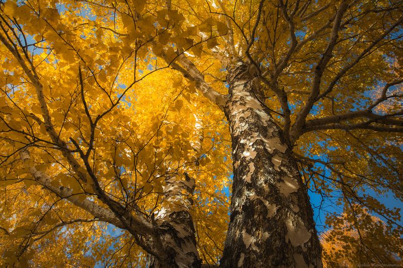 башкортостан, южный урал, золотая осень Золотая осень в Башкирииphoto preview