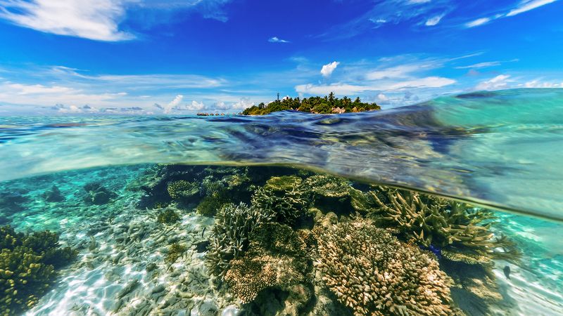 Остров.photo preview