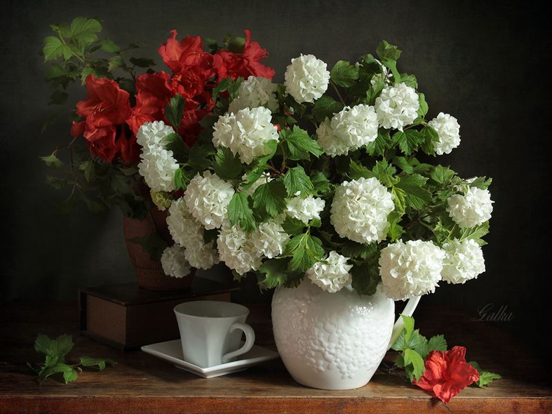 Букет, калина Бульдонеж, красное и белое,  Белые цветы фото превью