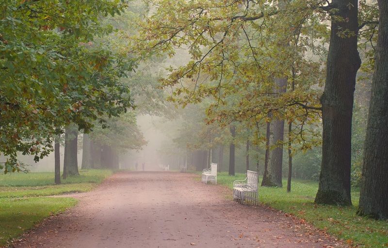 Foggy morningphoto preview