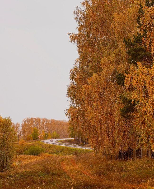 Осенняя дорогаphoto preview