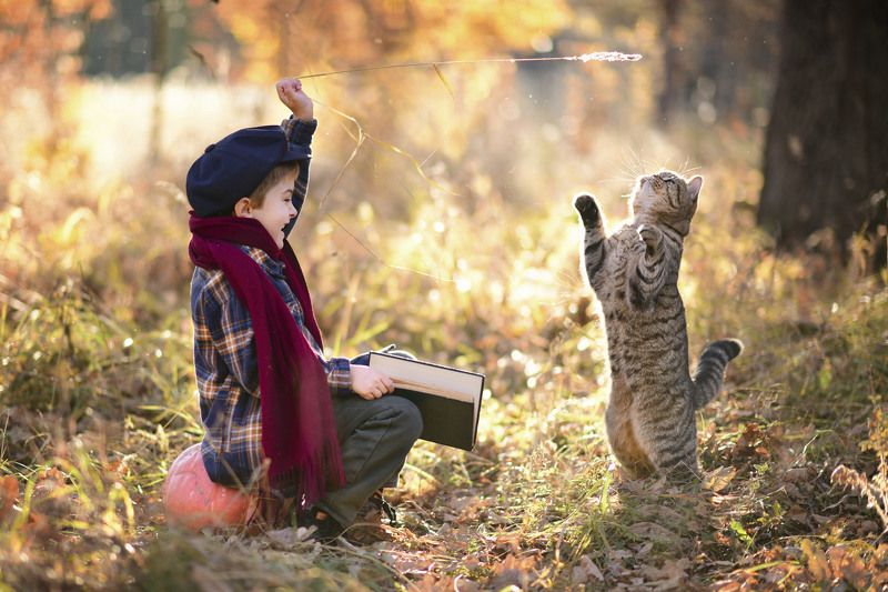 дружба, кот, мальчик, осенний день, детство Два другаphoto preview