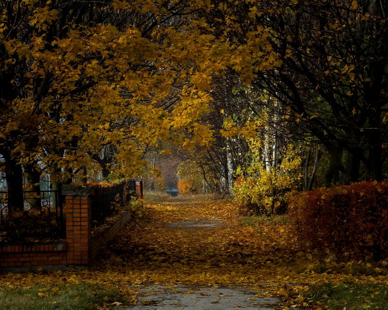 сквер, осень, пейзаж Уходящаяphoto preview