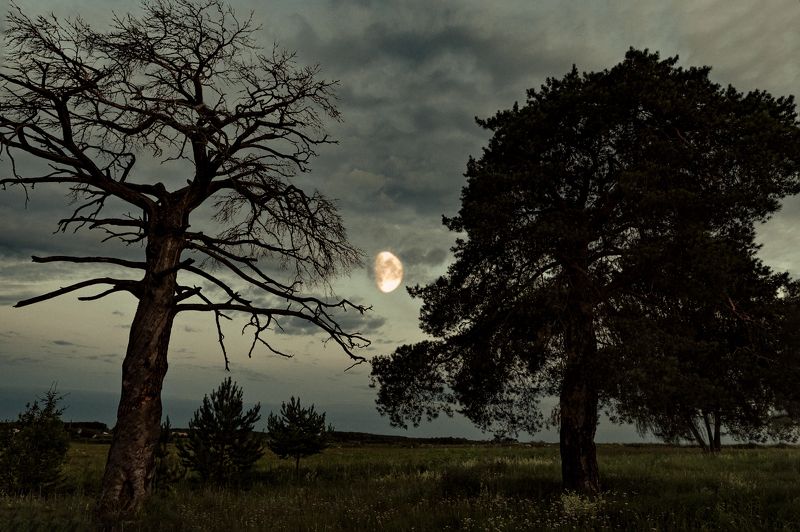 Ивановская областьphoto preview