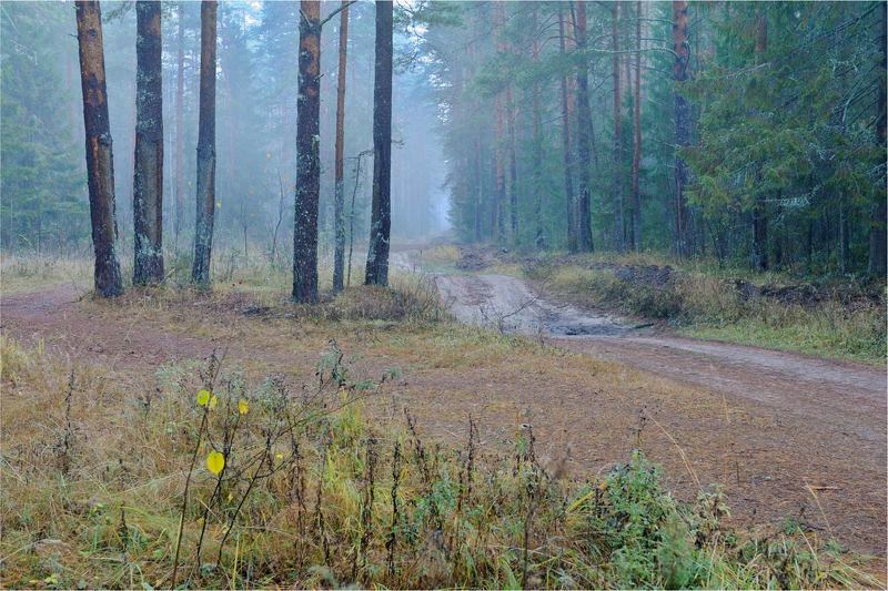 Осеннее утроphoto preview