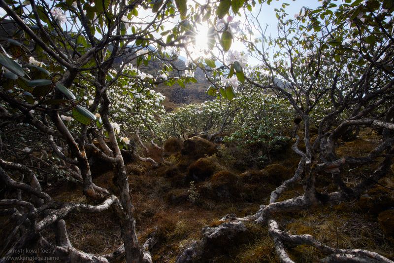 пейзажемагьё, пейзаж-как-виденье Диадема с Потусторонности …photo preview