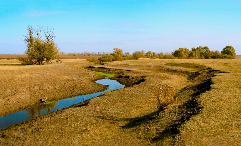 водопой, липецкая область, конь-колодезь, ручей, пастбище, осень Водопойphoto preview