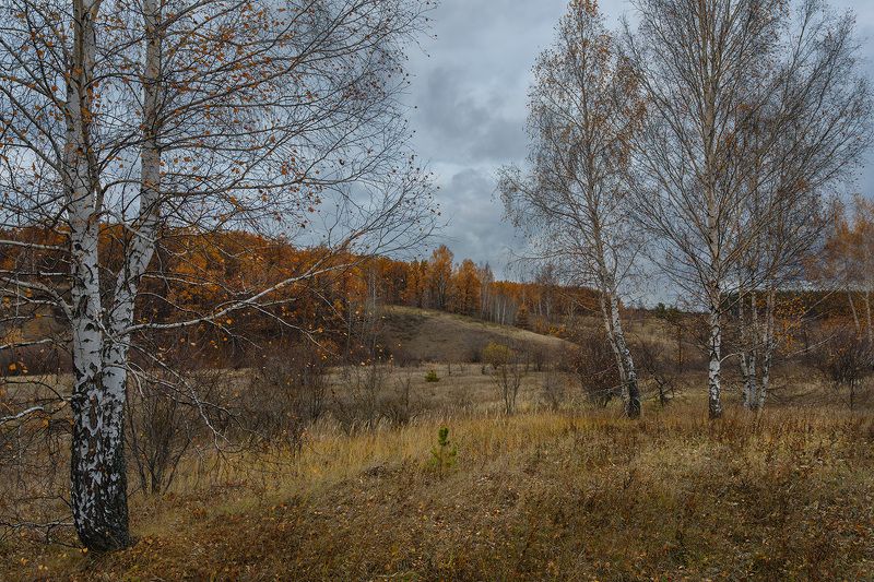 Хмурая осеньphoto preview