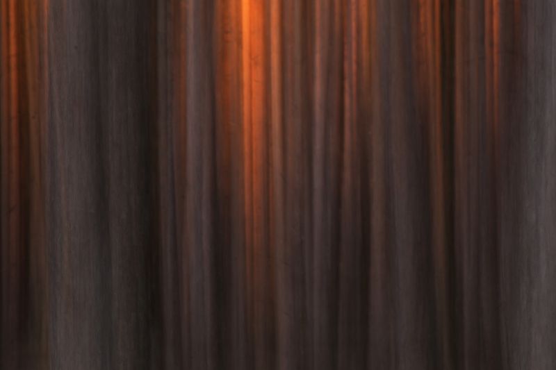 Свет пробился в лесphoto preview