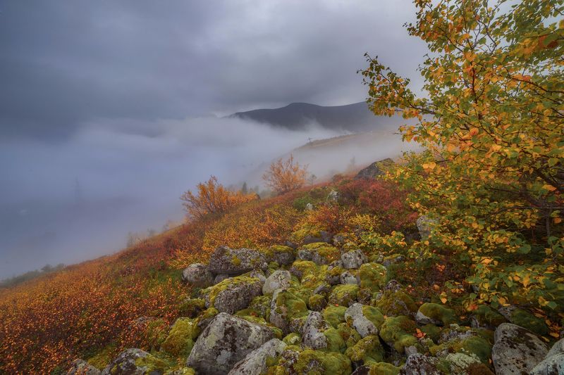 В облаках фото превью