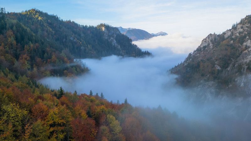 Осеньphoto preview