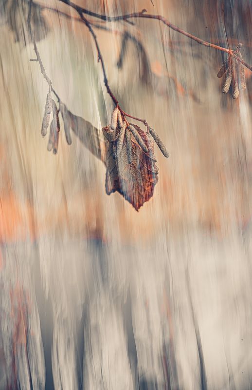 icm, мультиэкспозиция Как лист увядший падает на душу...photo preview