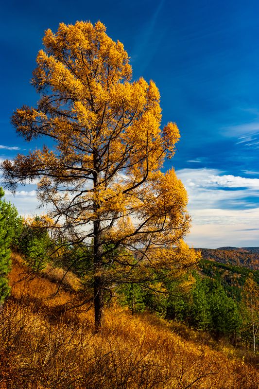 Осень.photo preview