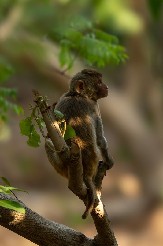 Hiding From the Sunphoto preview