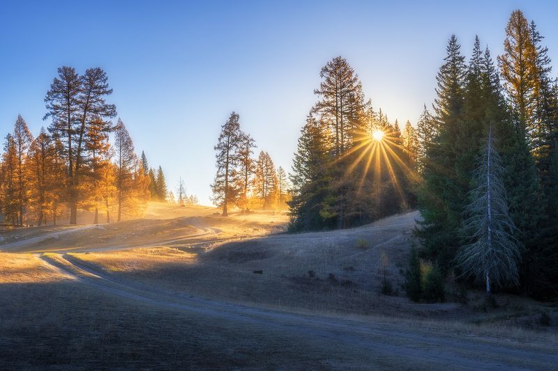 По пыльным алтайским пригоркам фото превью