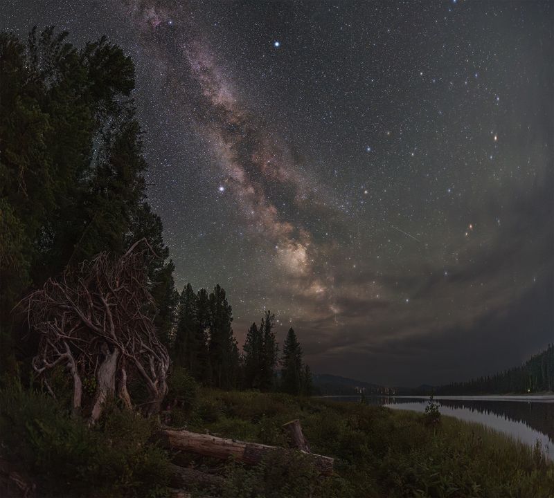 астрофото, астрофотография, ночь, астрономия, астропейзаж, млечный путь, звезды, ночное небо, night, nightphotography, stars, milkyway, longexposure Таежный Ктулху :)photo preview