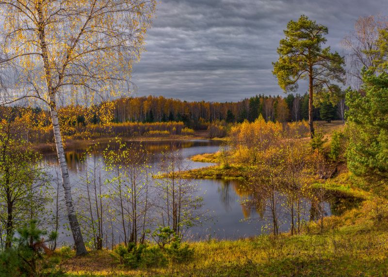 пейзаж осень октябрь саврасово  вязниковский район пивоварово Осенний день.photo preview