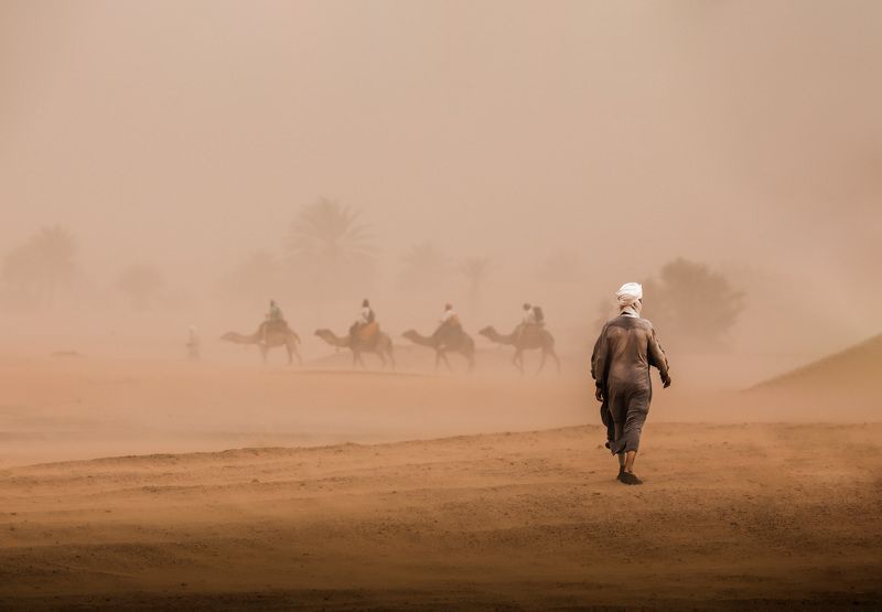 песок, шторм, Сахара, ветер, верблюд Песчаная буря в Сахареphoto preview