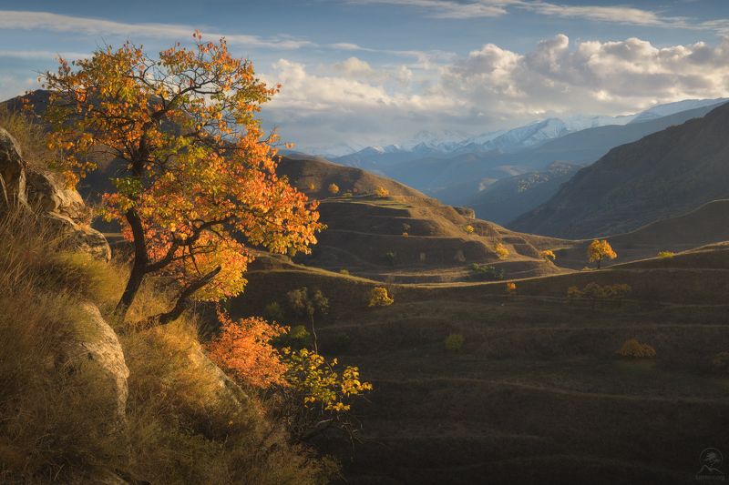 дагестан, горный дагестан, кавказ, фототур в дагестан, деревья, горы, террасы, гунибский район Над террасамиphoto preview