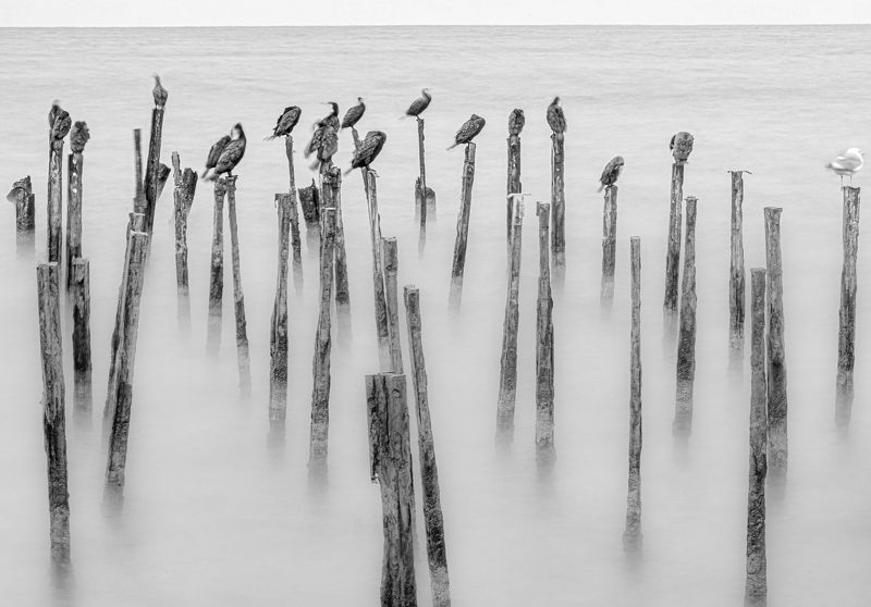 Минимализмphoto preview