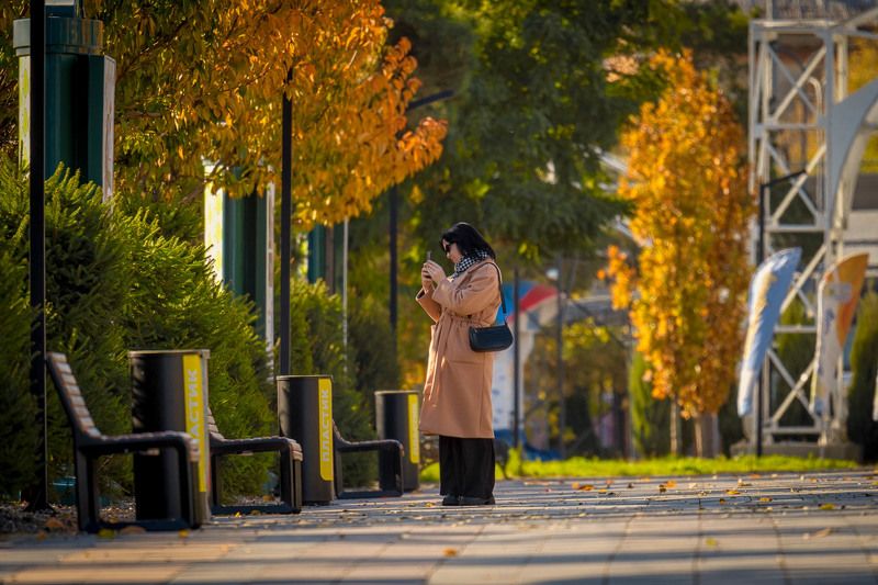 осень в парке photo preview