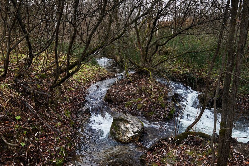 Движение водыphoto preview